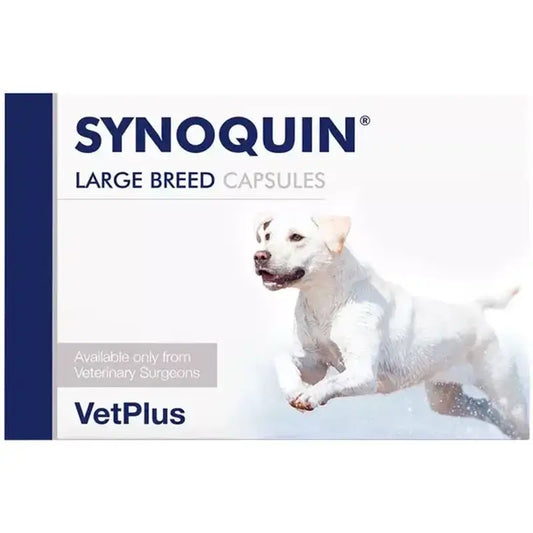 Synoquin Large Breed 120 capsule