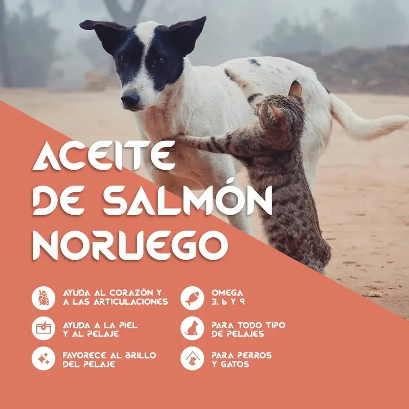 Olio di salmone Togo, 250 ml