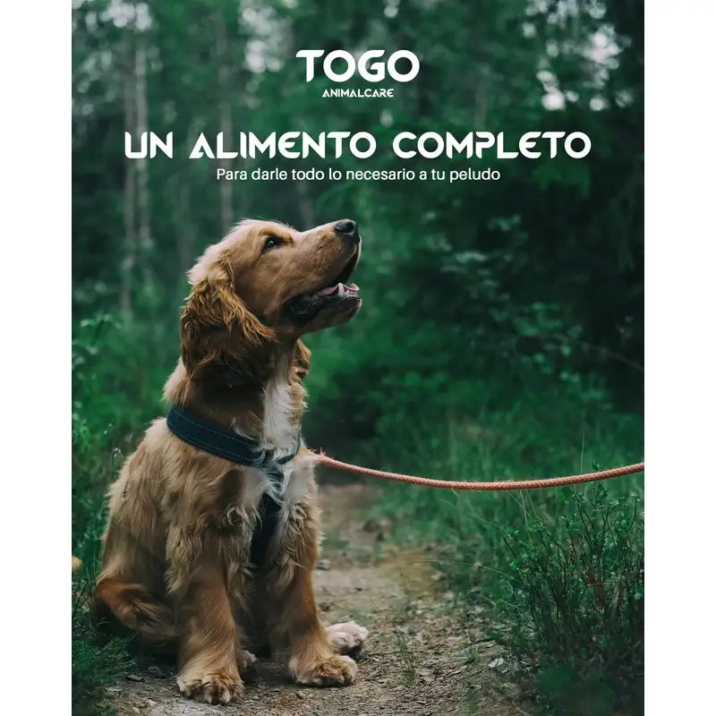 Salmone Togo Mangime secco, 15 kg