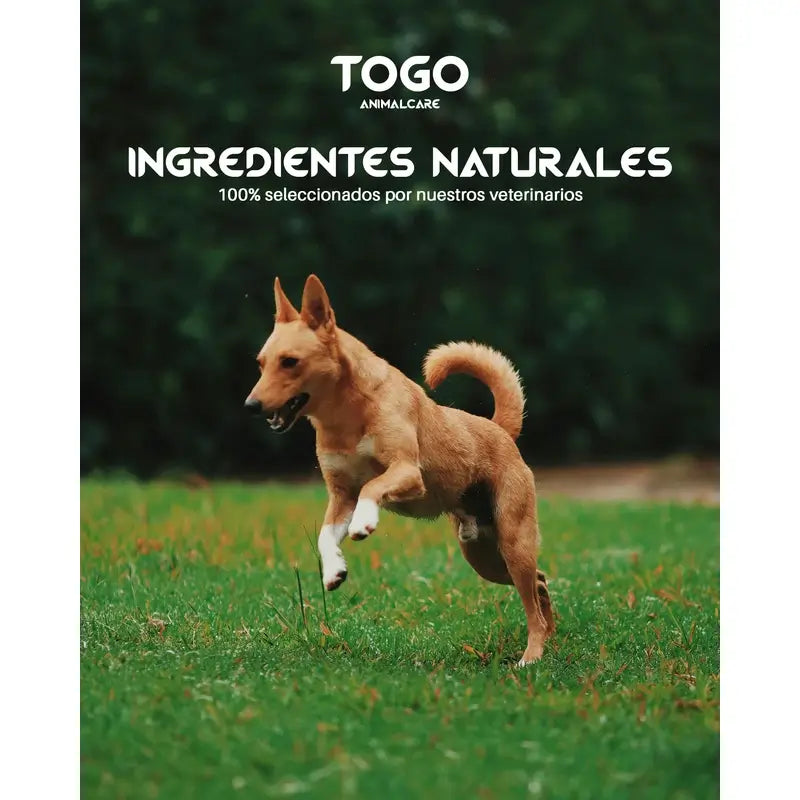 Salmone Togo Mangime secco, 15 kg