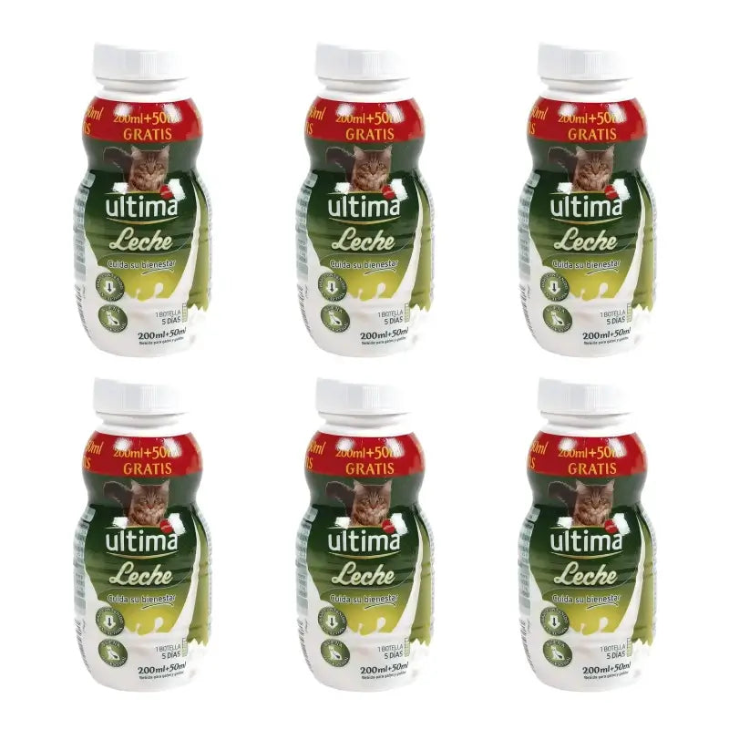 Ultima Latte per gatti e gattini, 250 ml, confezione da 6
