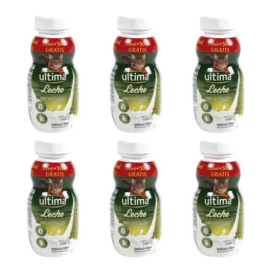 Ultima Latte per gatti e gattini, 250 ml, confezione da 6