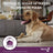 Vectra 3D Dog +40 kg, 3 pipette