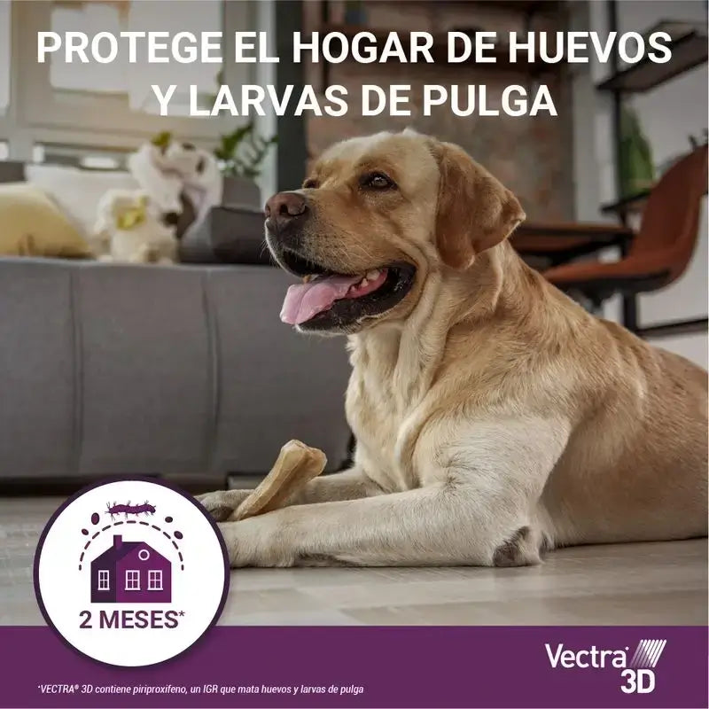 Vectra 3D Dog +40 kg, Confezione 2 x 3 pipette