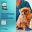 Virbac Veggiedent Fr3sh M, Snack dentale per cani di taglia media