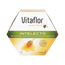 Vitaflor Intellect 20 Fiale