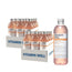 Vitamina Well Pack Pesca antiossidante, 24 unità X 500 Ml