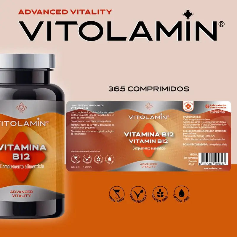 Vitolamin vit.b12 100 µg 365 compresse