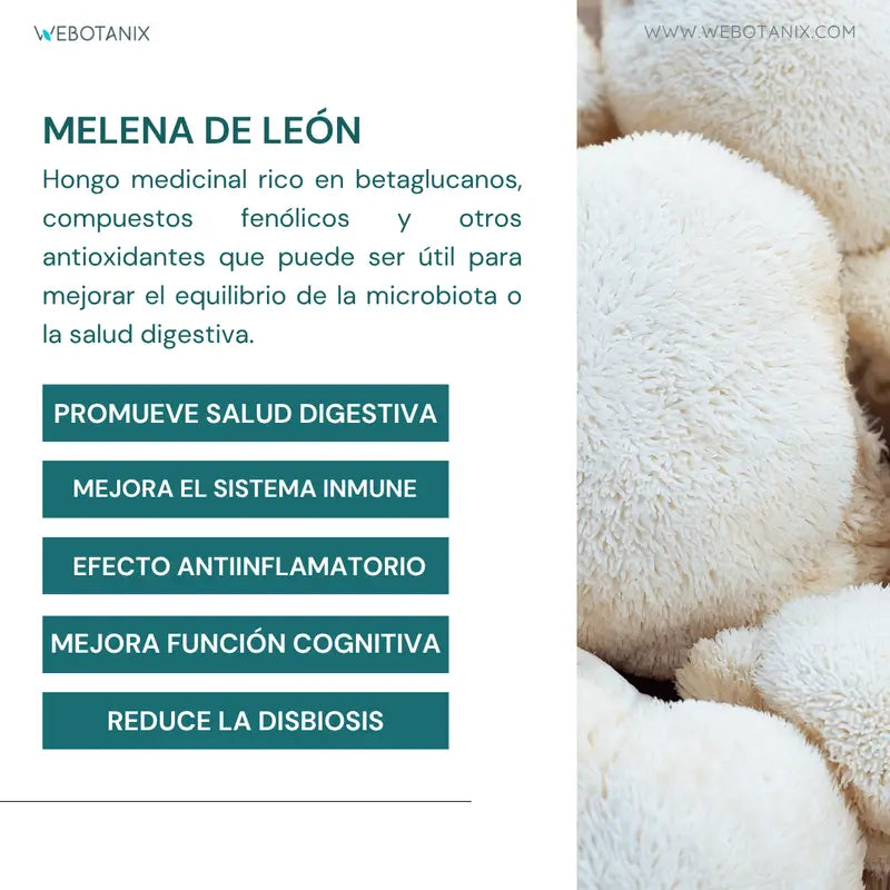 Webotanix Probiotax Microbiota, 60 capsule