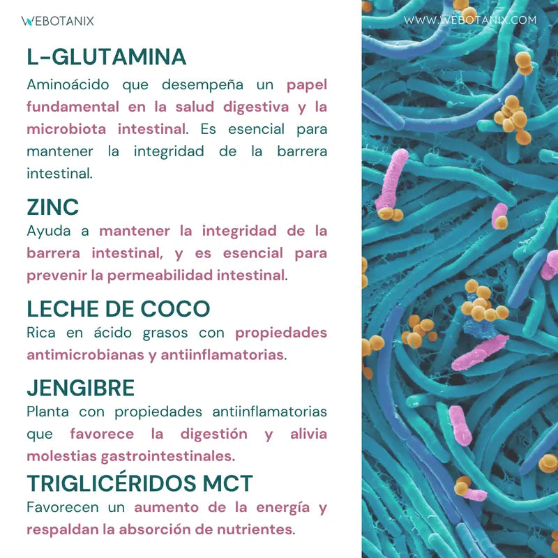 Webotanix Probiotax Microbiota, 60 capsule