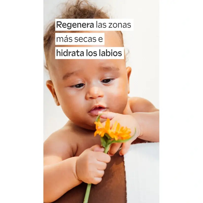 Weleda Balsamo intensivo multiuso alla calendula, 25 g