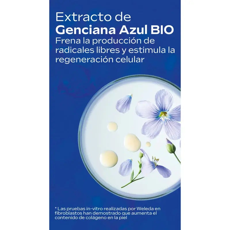 Valigetta “Protocollo antimacchia” 2026