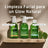 Weleda Tonico perfezionatore, 150 ml
