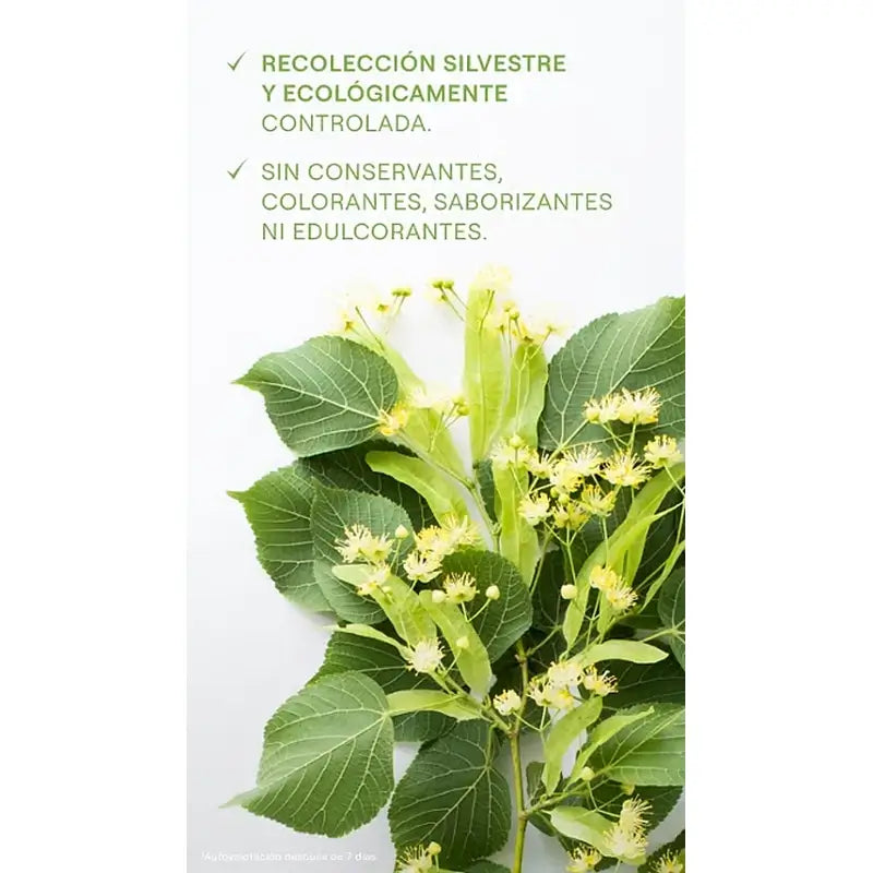 Succo di betulla Weleda, 200 ml