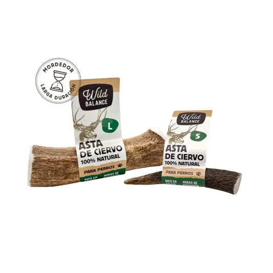 Wild Balance - Corno di cervo L intero - Giocattolo da masticare naturale per cani