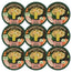 Wild Balance Stufato casalingo con salmone, pollo e pera 9 x 280 g