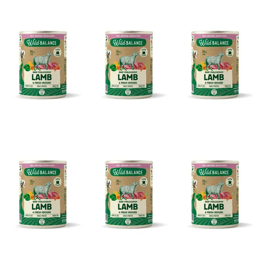 Wild Balance Philosophy Agnello per cani, 400 g, confezione da 6 pezzi