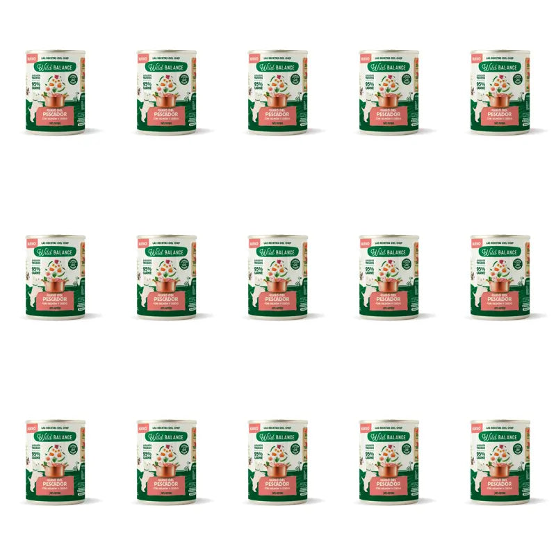 Wild Balance Stufato del pescatore in scatola con salmone, maiale e verdure per cani, 400 g, Confezione da 15