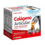 Ynsadiet Colageno Articular 20 Bustine Zentrum, 20 Bustine