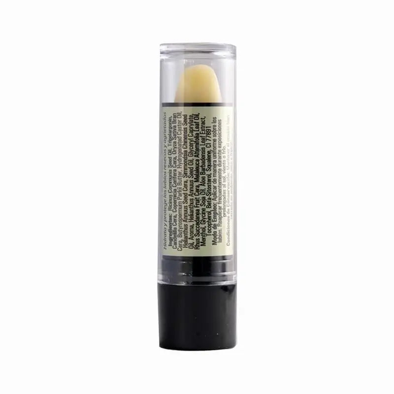 Ynsadiet Stick labbra all'aloe con albero del tè, 4 gr