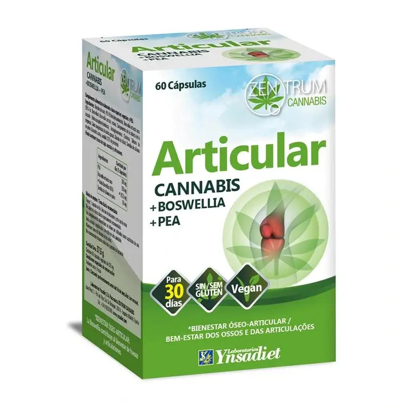 Zentrum Zentrum Cannabis Articolare 60 Capsule